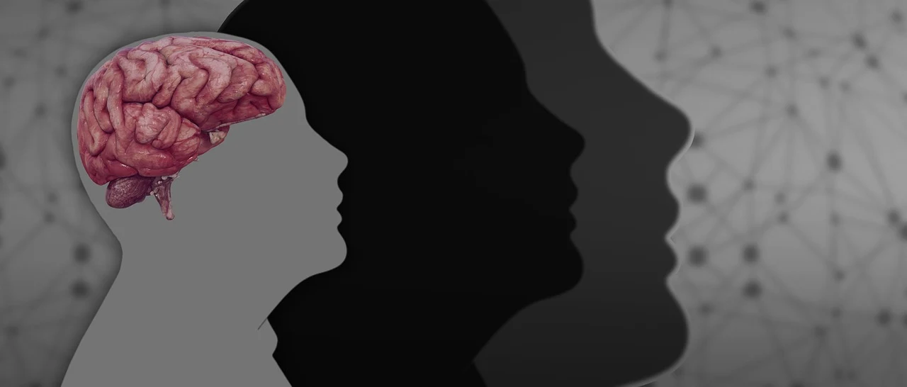 Alpha Brain Cognitive Support